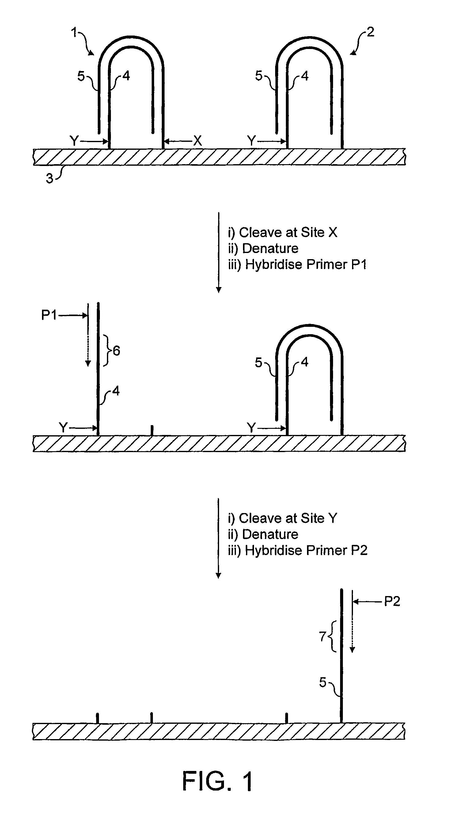 Method for sequencing a polynucleotide template