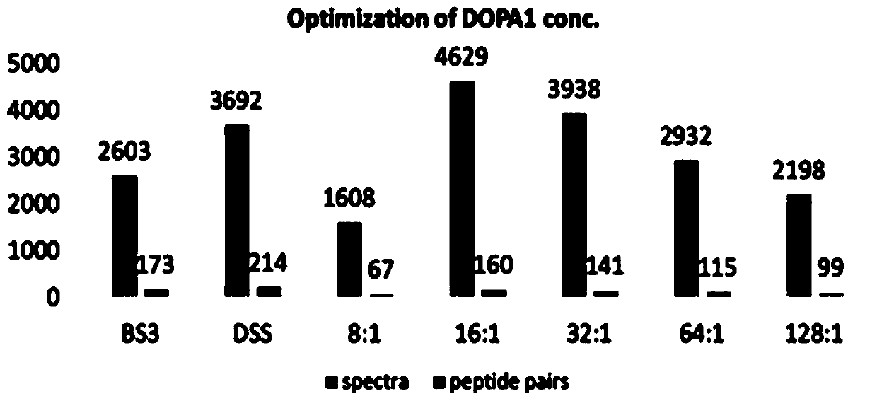 Protein chemical cross-linking agent, preparation method and applications thereof