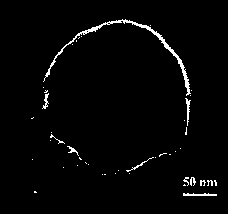 Preparation method of phenylboronic acid modified magnetic chitosan and application of phenylboronic acid modified magnetic chitosan in selective separation of shikimic acid