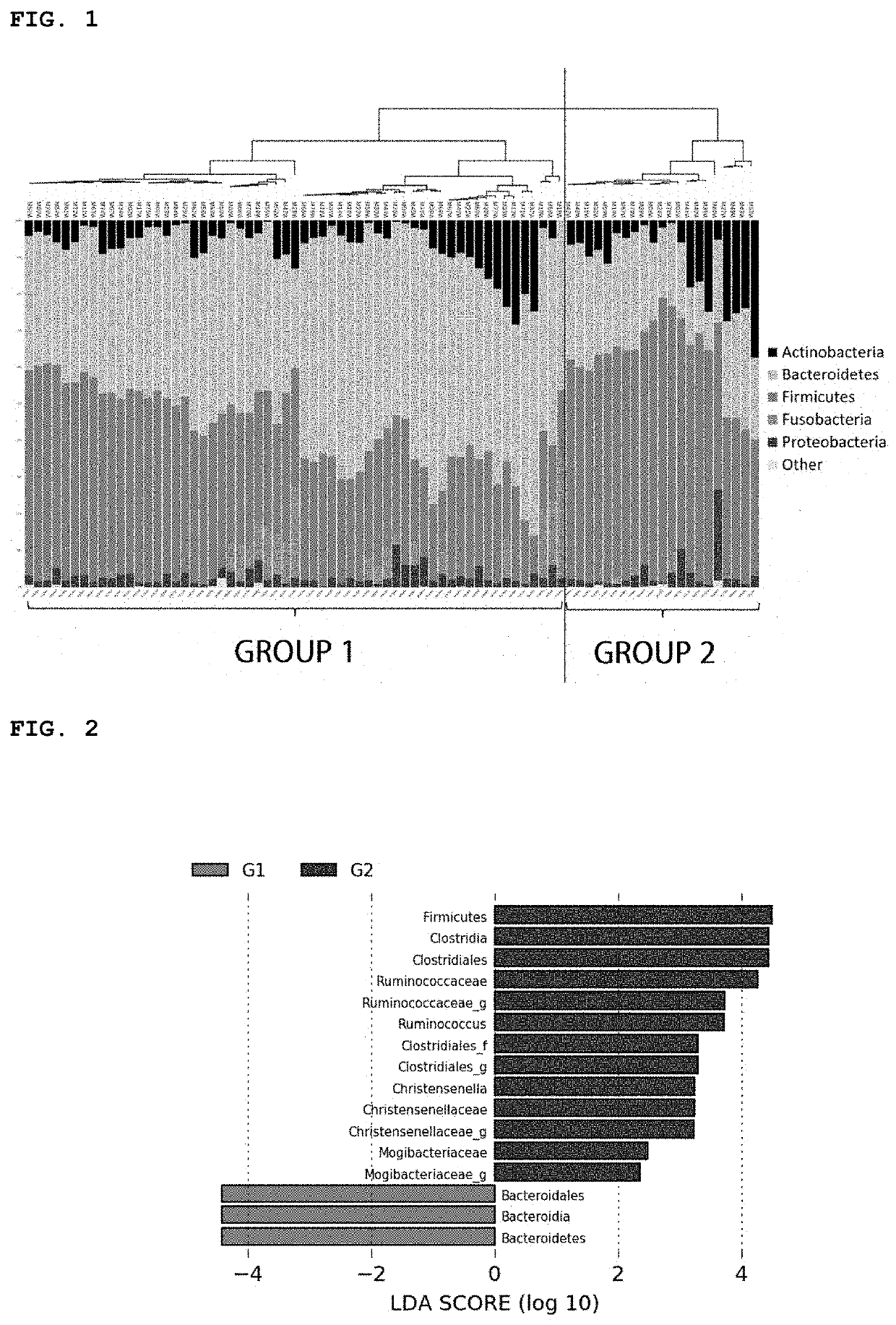 Obesity treatment using probiotics, composition for reducing body fat, and composition for reducing waist circumference