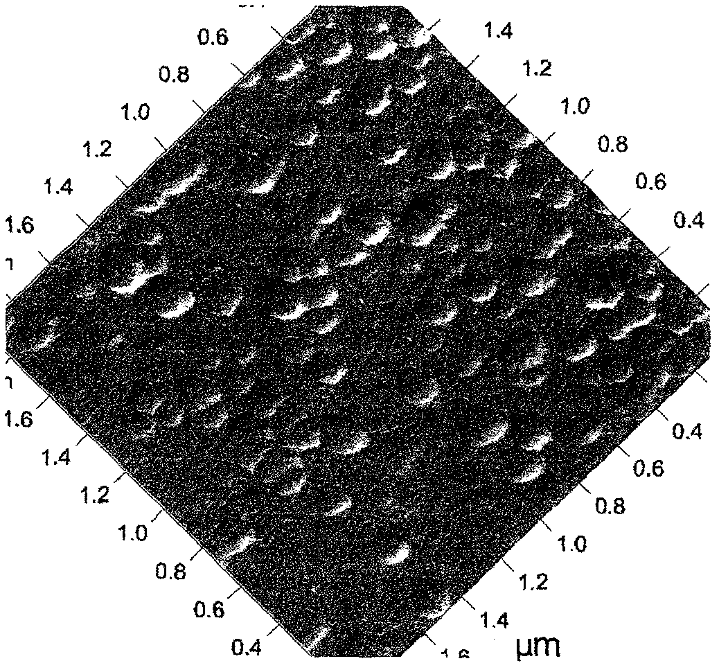 Targeting ginkgolide B solid lipid nanoparticle and preparation method thereof