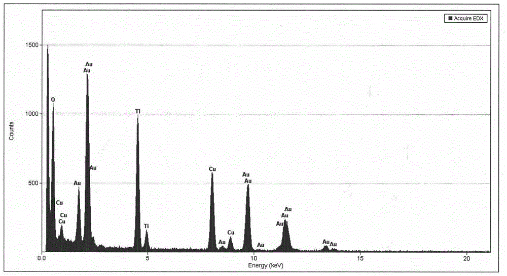 Preparation method of TiO2 nanowire photocatalyst modified by Au nanoparticles