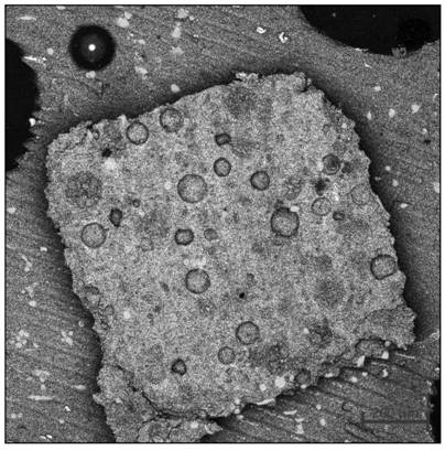 Controllable porous calcium phosphate scaffold and preparation method thereof