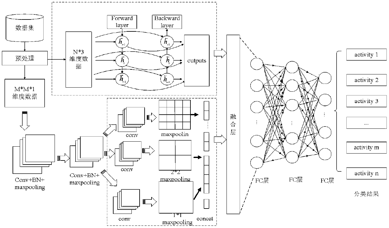 A multi-size input HAR algorithm based on an improved LSTM-CNN