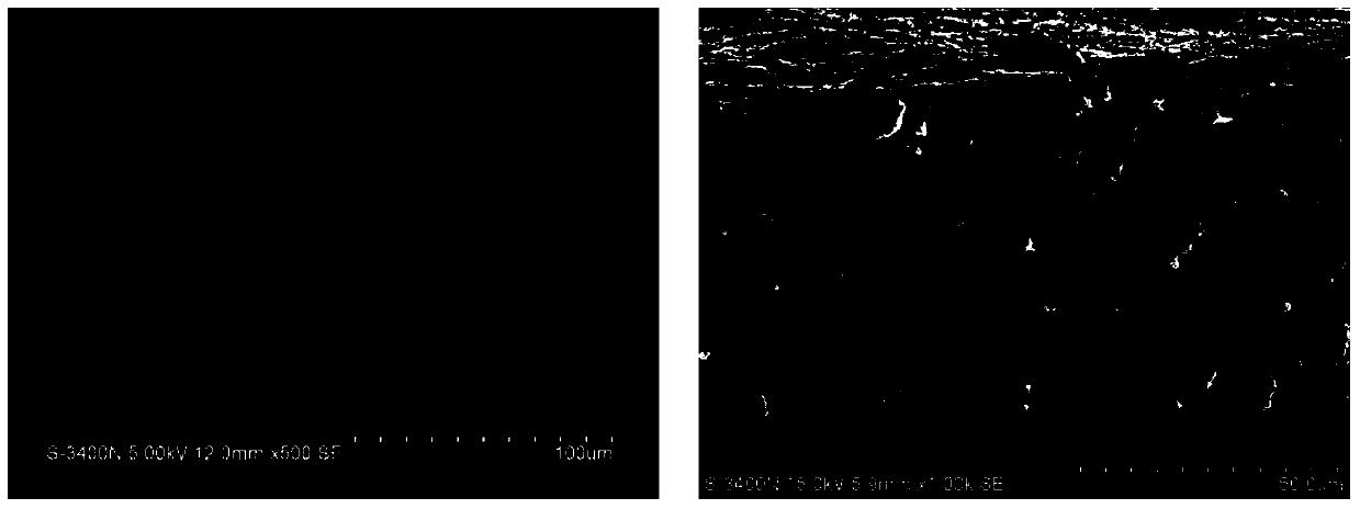 Starch composition, starch-based film, and preparation method of starch-based film