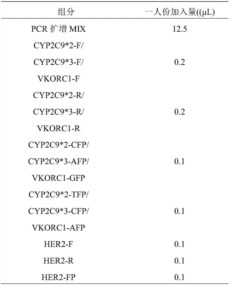 Composition for detecting CYP2C19 and VKORC1 gene polymorphism and its application