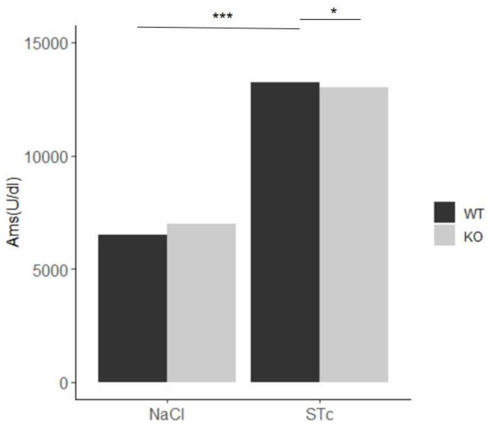 Application of P2Y12 receptor and antagonist thereof in diagnosis and treatment of acute pancreatitis