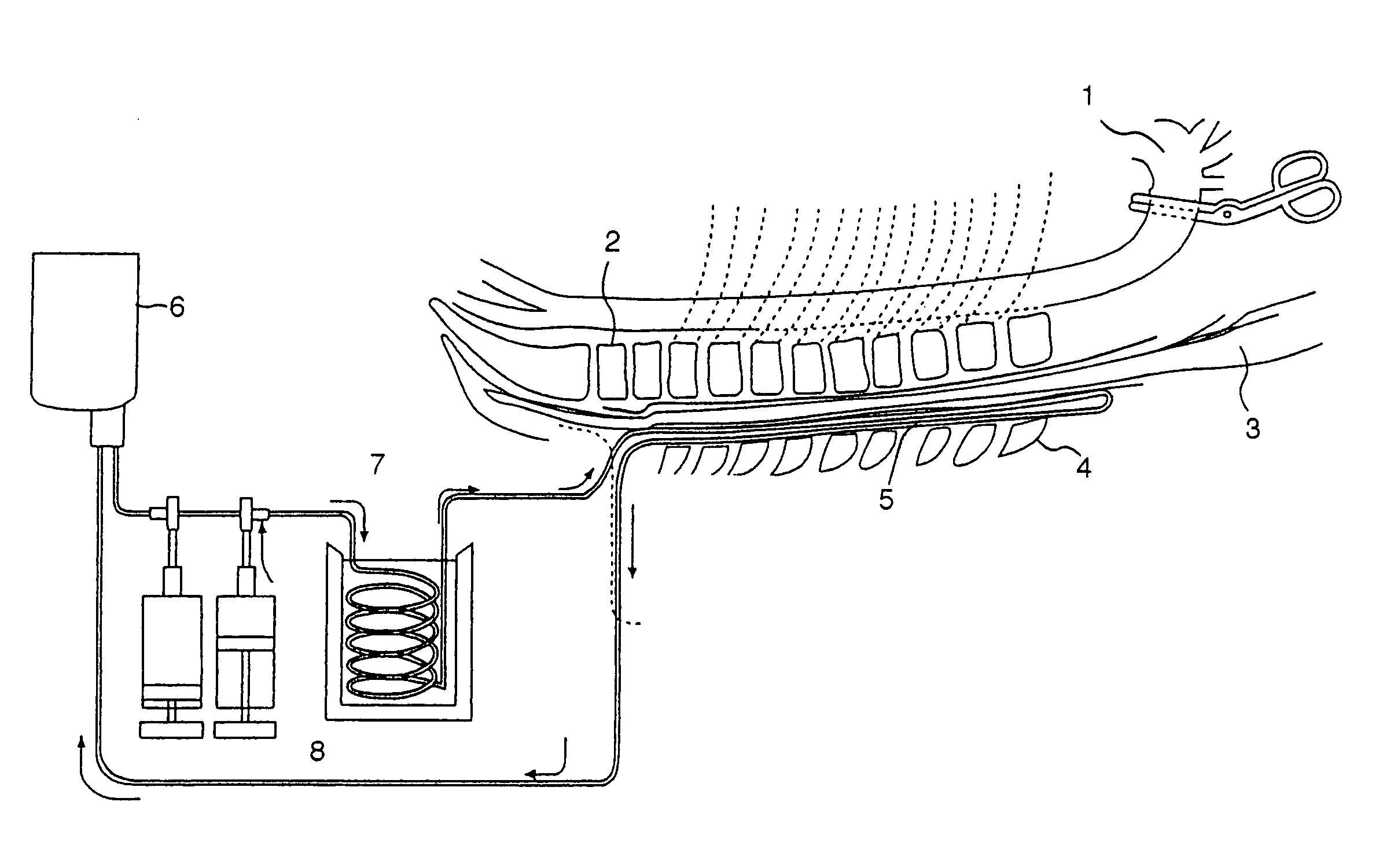 Catheter for topical cooling and topical cooling device using the same