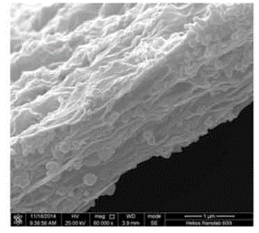 Adhesive-free graphene/silicon electrode for lithium ion battery and preparation method thereof