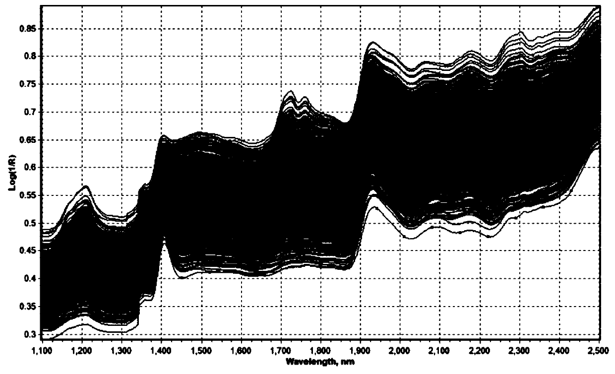 Method for detecting content of oleic acid, linoleic acid and palmitic acid in single-grain peanuts based on near infrared spectrum