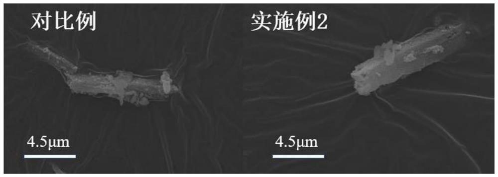 Polyaniline microrod structure lithium-rich manganese-based positive electrode material as well as preparation method and application thereof