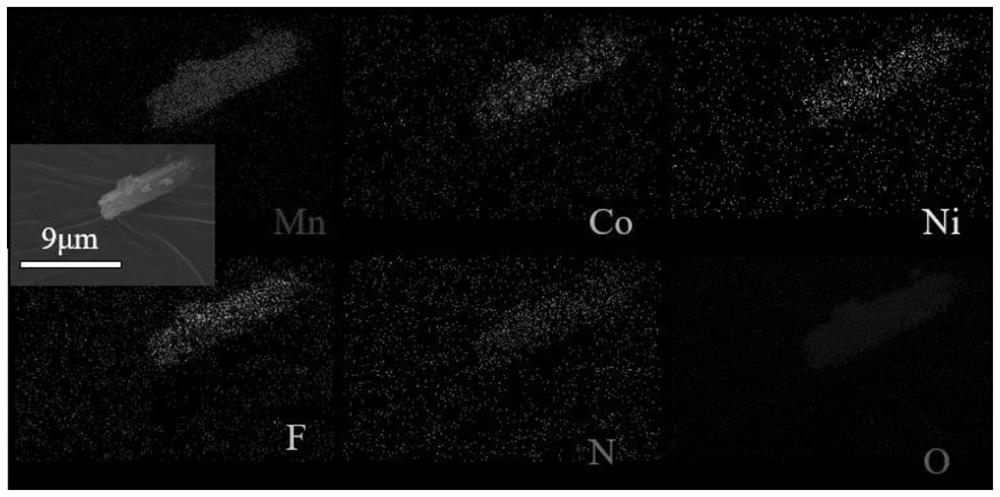 Polyaniline microrod structure lithium-rich manganese-based positive electrode material as well as preparation method and application thereof