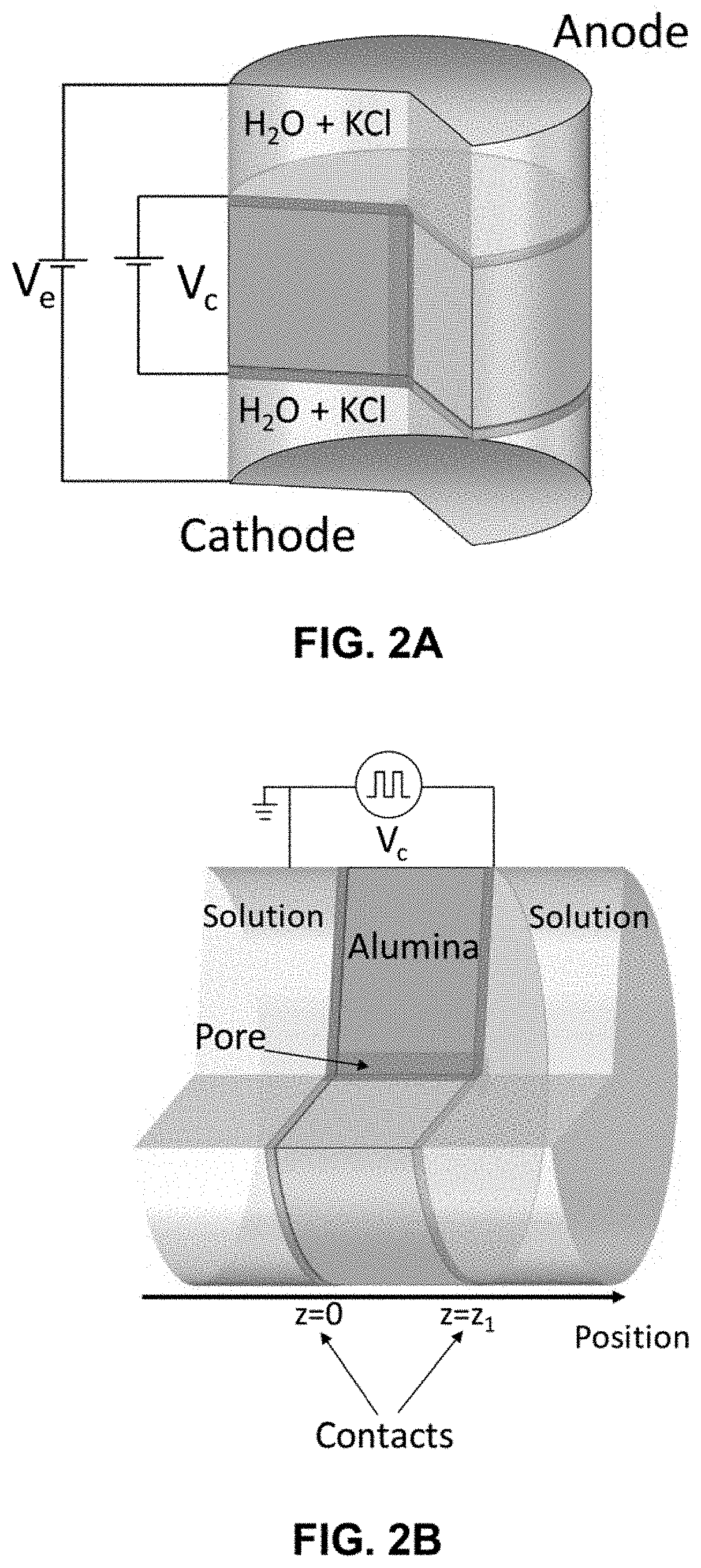 Ratchet-based ion pumping membrane systems