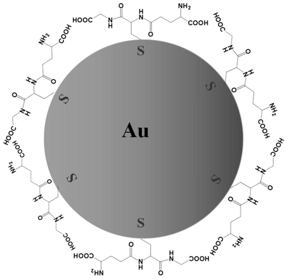 Synthetic method of gold nanoparticles and organophosphorus detection method