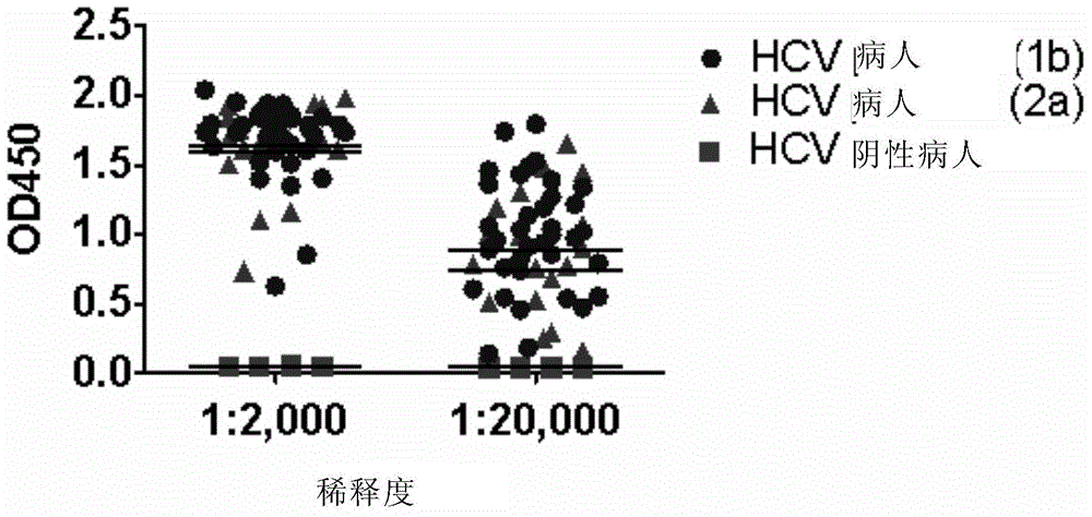 Preparation and application of hepatitis C virus recombinant protein