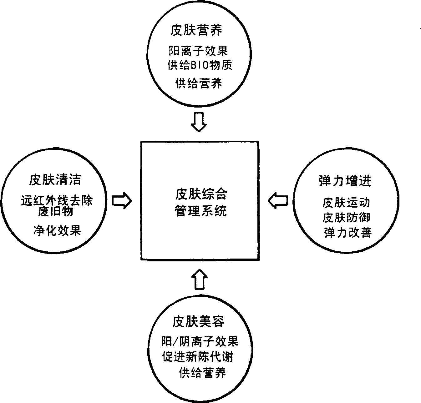 Total skin management system and total skin management method using the same