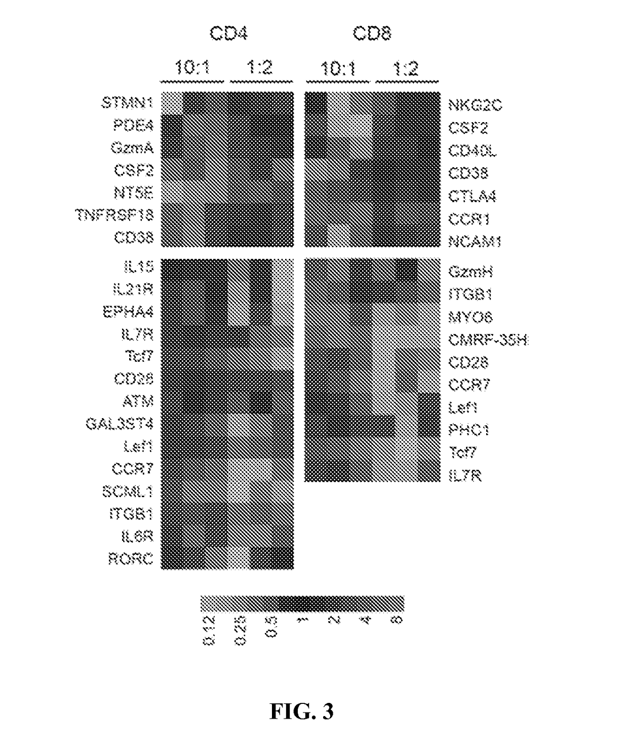 Chimeric antigen receptors (CAR) and methods for making and using the same