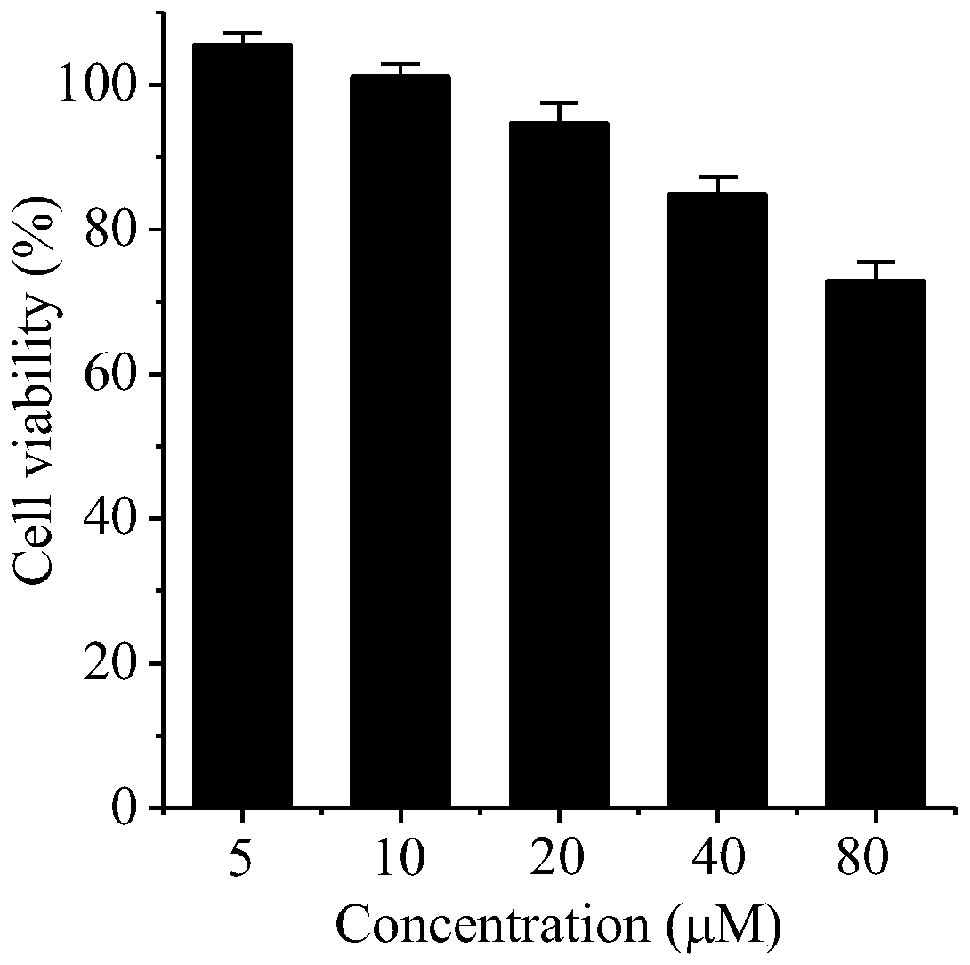 Near-infrared light-emitting binuclear ruthenium complex as tumor cell recognition and imaging reagent