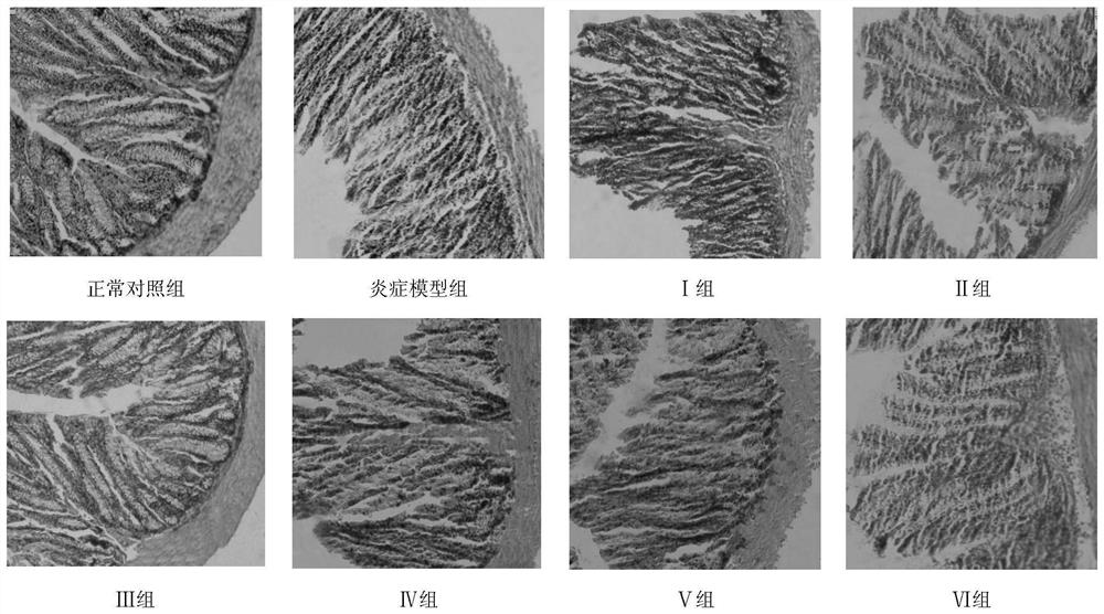 Colitis repairing agent without anti-high cell affinity and application method