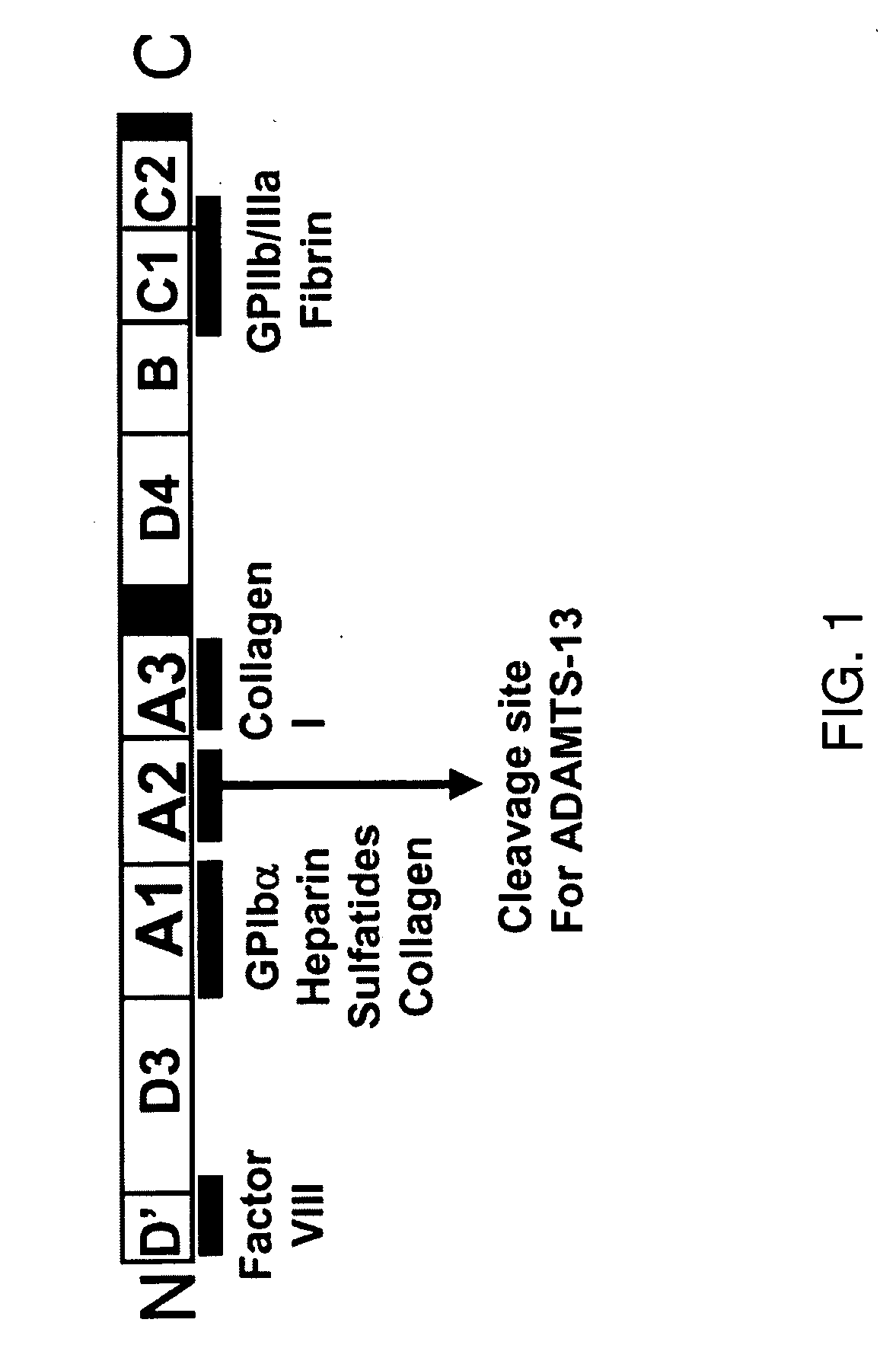 Treatment of medical condition with a2 domain of von willebrand factor