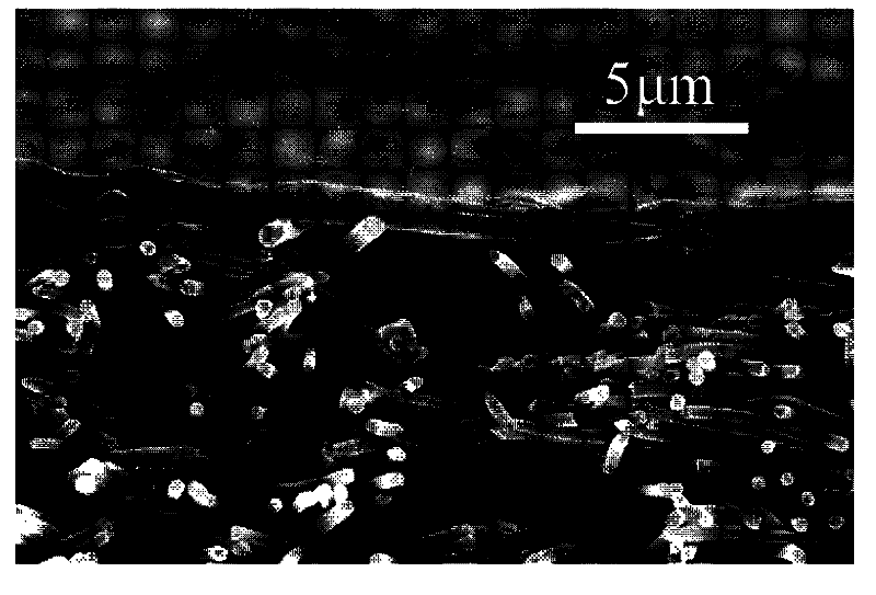 Preparation method of nanofiber separation composite membrane with gluing transition layer