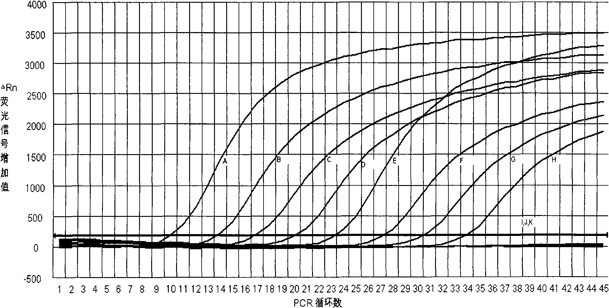 Reagent for assistant identification of carnation ringspot viruses and application thereof