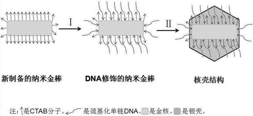 Novel nanoparticles with core-shell structures and preparation method thereof