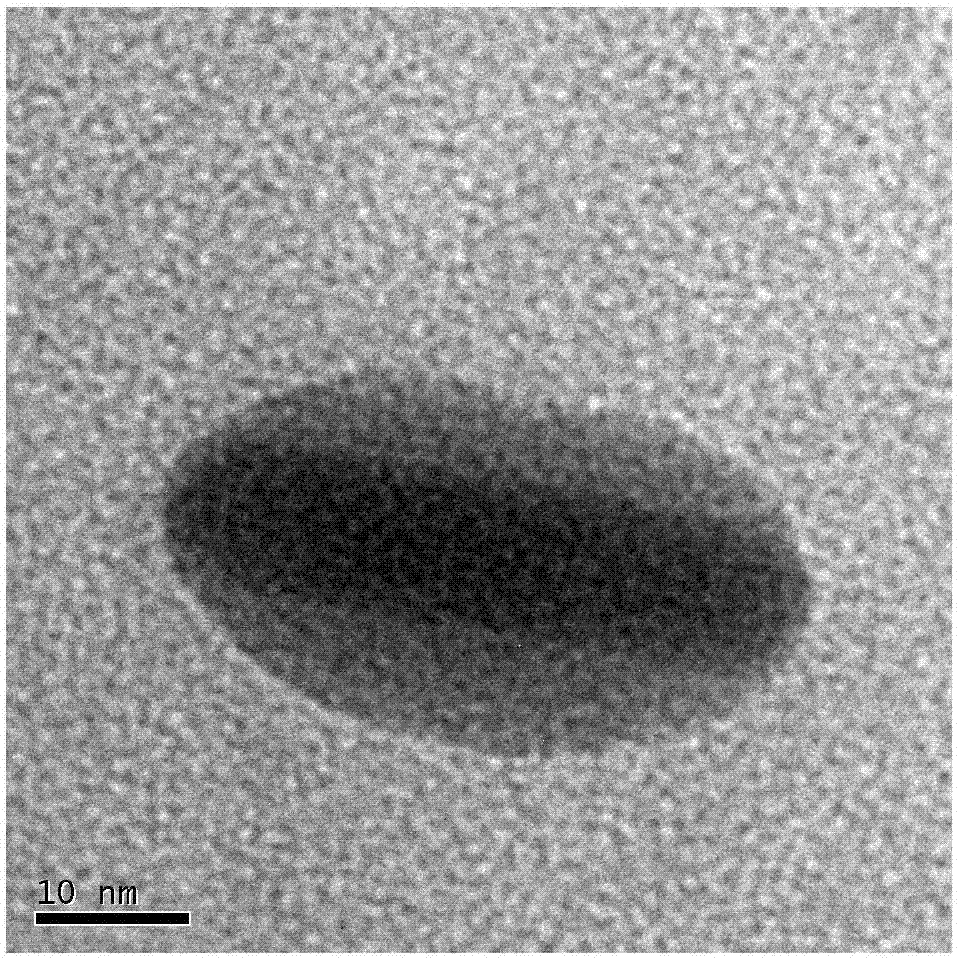 Novel nanoparticles with core-shell structures and preparation method thereof