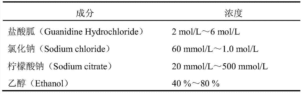 Phlegm paper for protecting nucleic acids (DNA and RNA) in sputum and nucleic acid extraction method