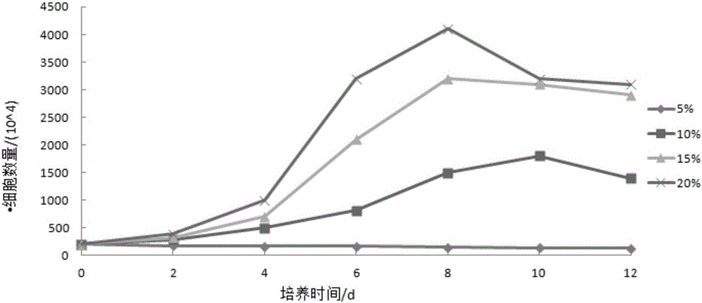 Squaliobarbus curriculus fin cell line as well as establishing method and application thereof