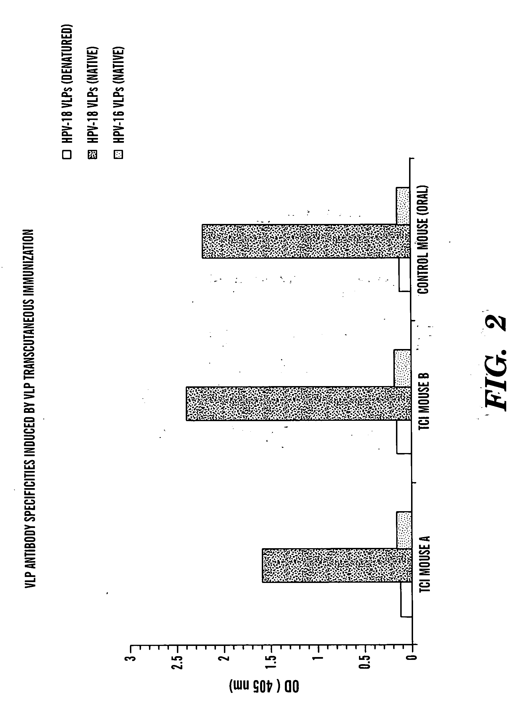 Transcutaneous immunization against papillomavirus with papillomavirus virus-like particles