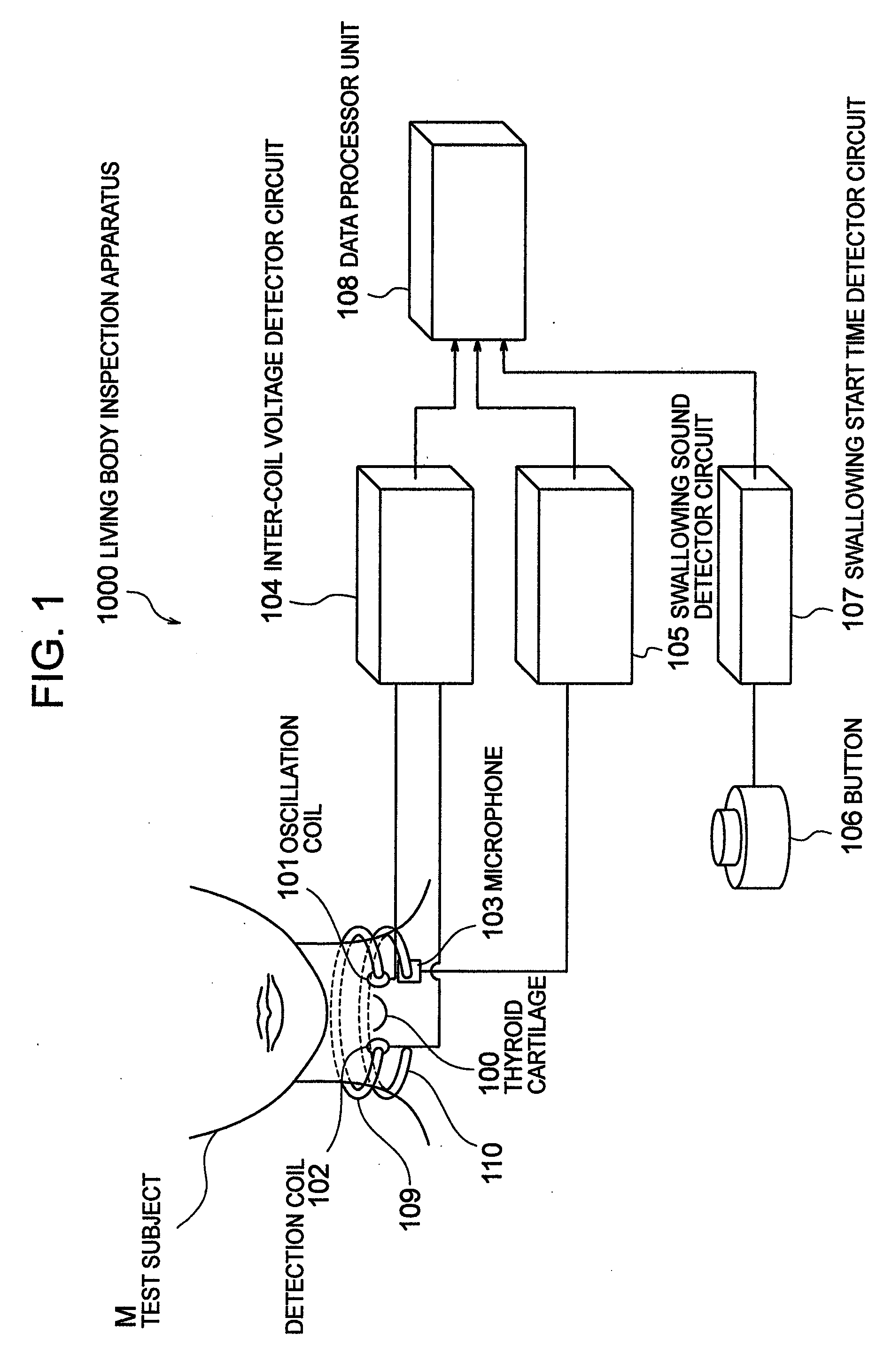 Living body inspection apparatus