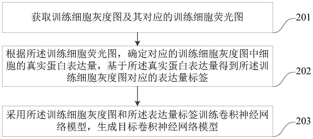 Cell screening method and device based on convolutional neural network