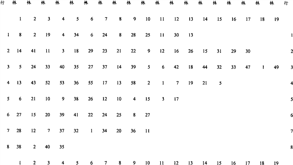 Method for rebuilding forest seedling seed orchard into seedling and clone mixed seed orchard