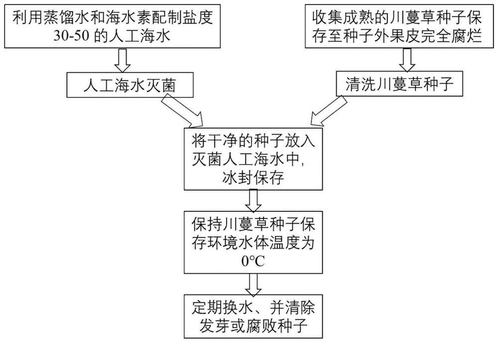 A kind of method for preserving the seeds of chrysanthemum