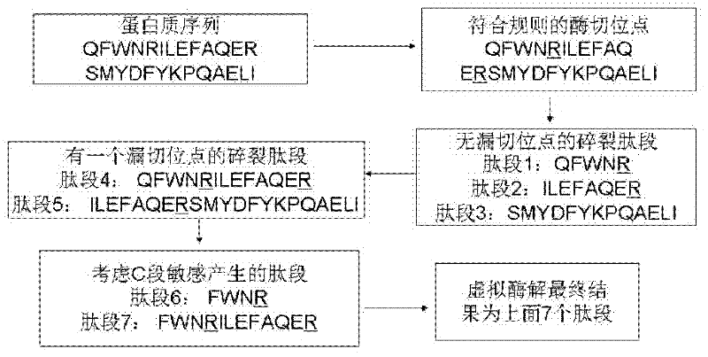 Protein secondary mass spectrometric identification method based on probability statistic model