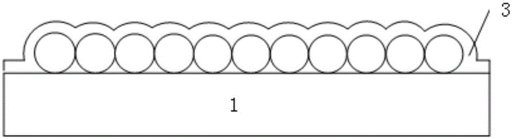 Metal nanoparticle structure array and preparation method thereof