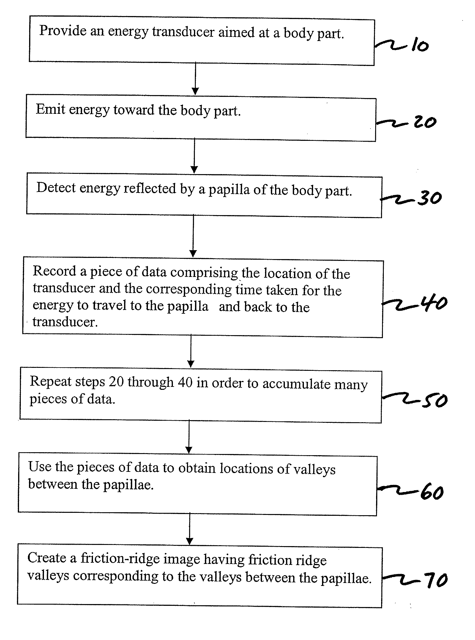 Use Of Papilla Mapping To Determine A Friction-Ridge Surface