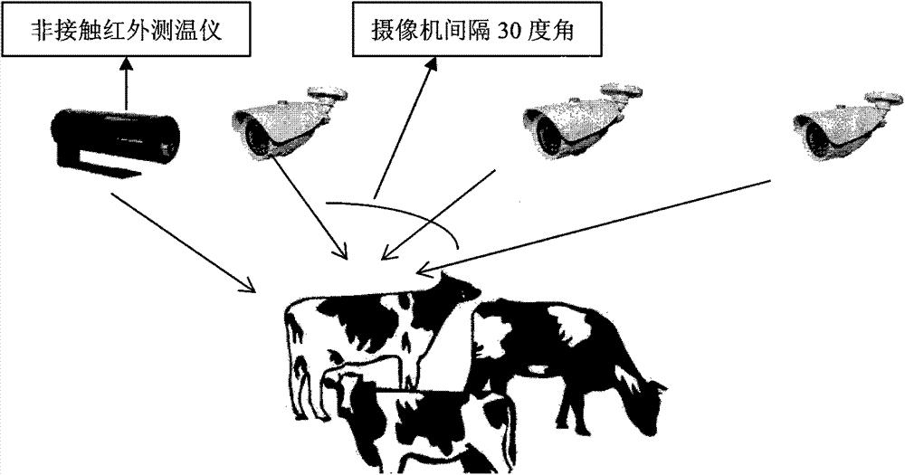 Intelligent livestock behavior monitoring system based on internet of things and computer vision