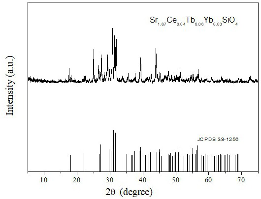 Rare earth ion doped strontium silicate fluorescent powder and preparation method thereof