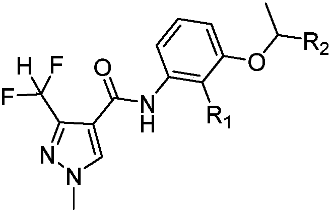 Bactericidal preparation and application thereof