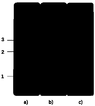 Fluorescence immunochromatography detection test paper strip of trichinellosis as well as preparation method and application thereof