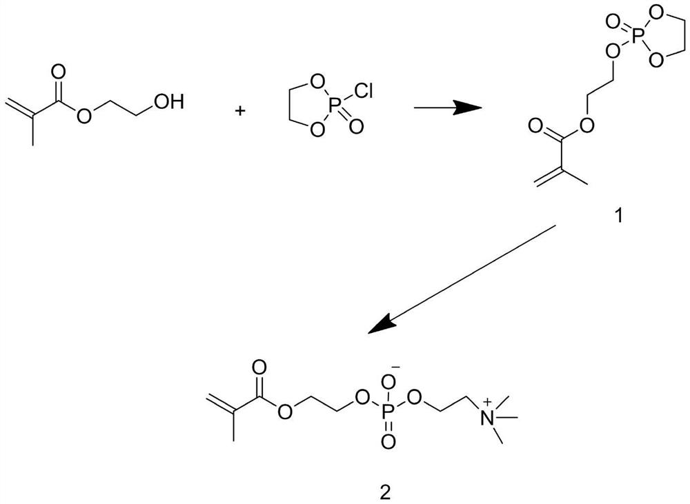 A dental implant with hydrophilic and antibacterial properties