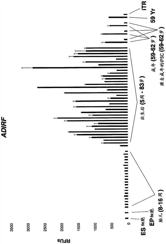 Improved methods for inducing tissue regeneration and senolysis in mammalian cells