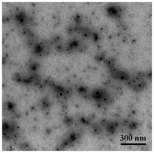 Temperature-responsive core-shell magnetic hydrogel nanoparticles and preparation method thereof