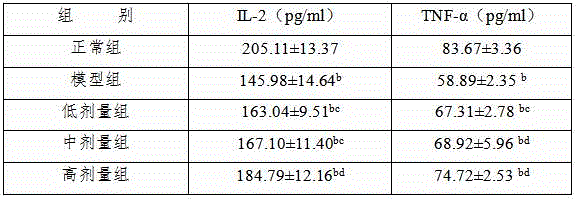 Ganoderma atrum drink having immunity improving functions and preparation method thereof