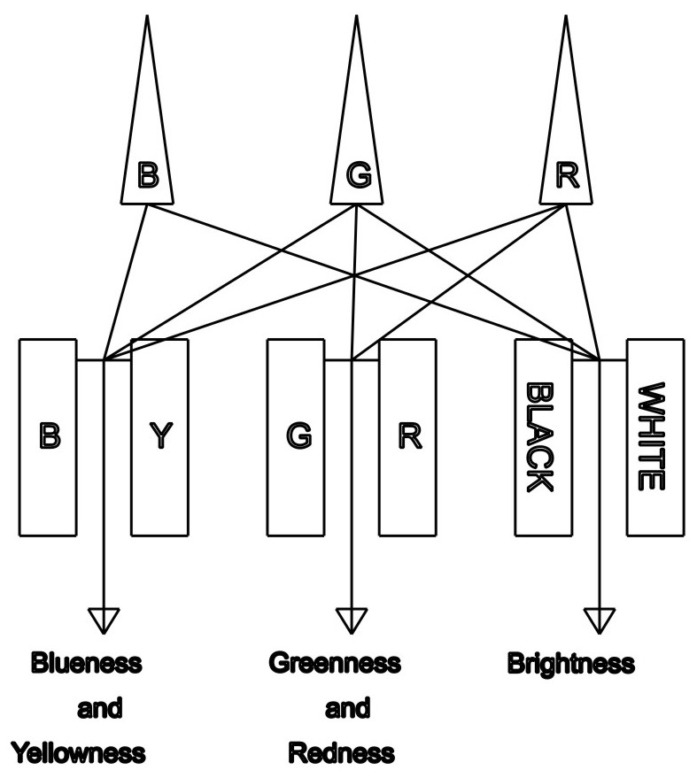 Detection method for color discrimination ability