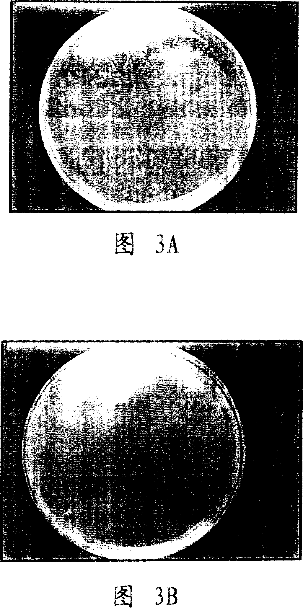 Preparation method of anatase rutile titania photocatalyst