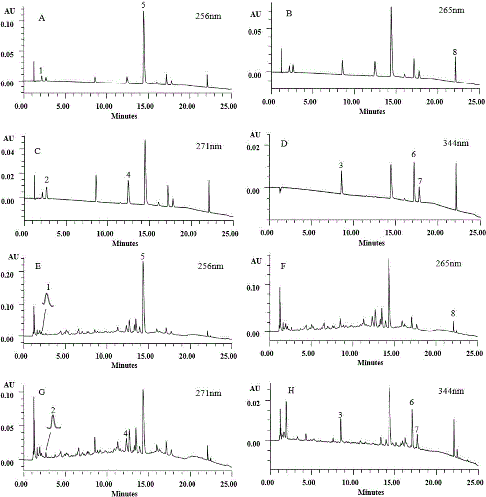 Method for measuring content of index components in traditional Chinese medicine, palmleaf raspberry fruit