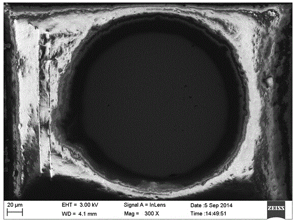 Implantable flexible array electrode used for organism and preparation method of implantable flexible array electrode